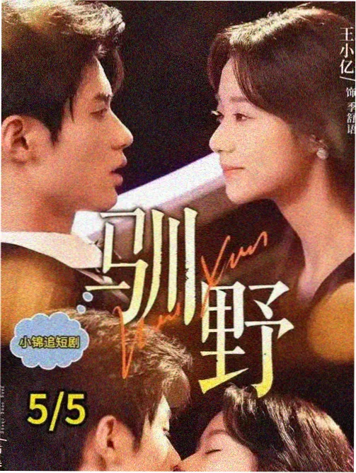 红杏影院热播悬疑剧集长夜列车封面